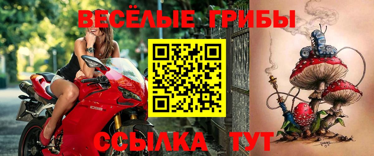 Псилоцибиновые грибы Cubensis  Вход с VPN  Галлюциногенные грибы прущие грибы  Гуково 